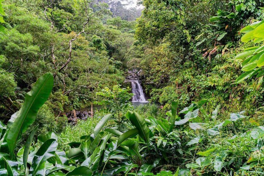 Full-Day Private Road to Hana Tour from Wailea - Kihei