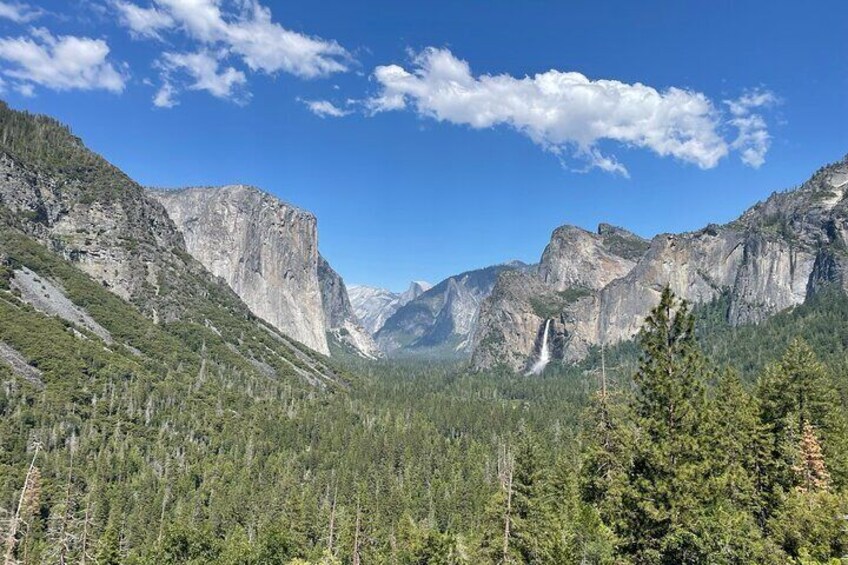 Yosemite, Sequoias, Glacier Point: From San Francisco Small Group