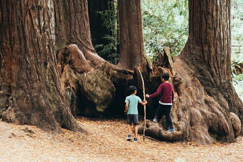 Yosemite National Park & Sequoias Private Tour from San Francisco