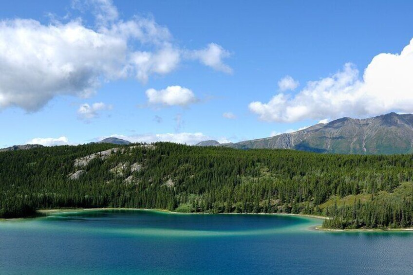 Full-Day Private Guided Tour in Yukon