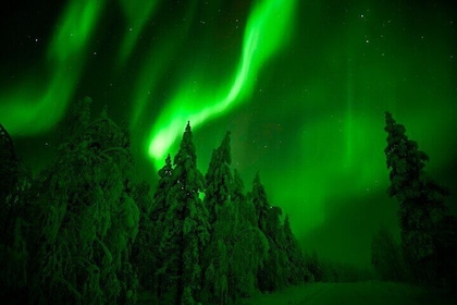 Northern Lights Hunting Adventure in Lapland