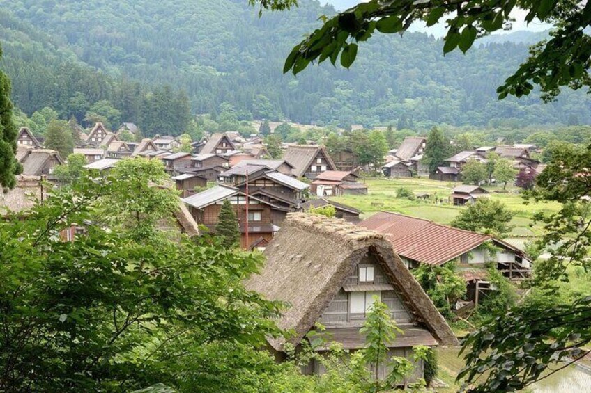 [START FROM TAKAYAMA] Private Takayama & Shirakawa-go Tour