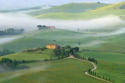 Full Day PRIVATE Guided Tour in Val D'Orcia Region