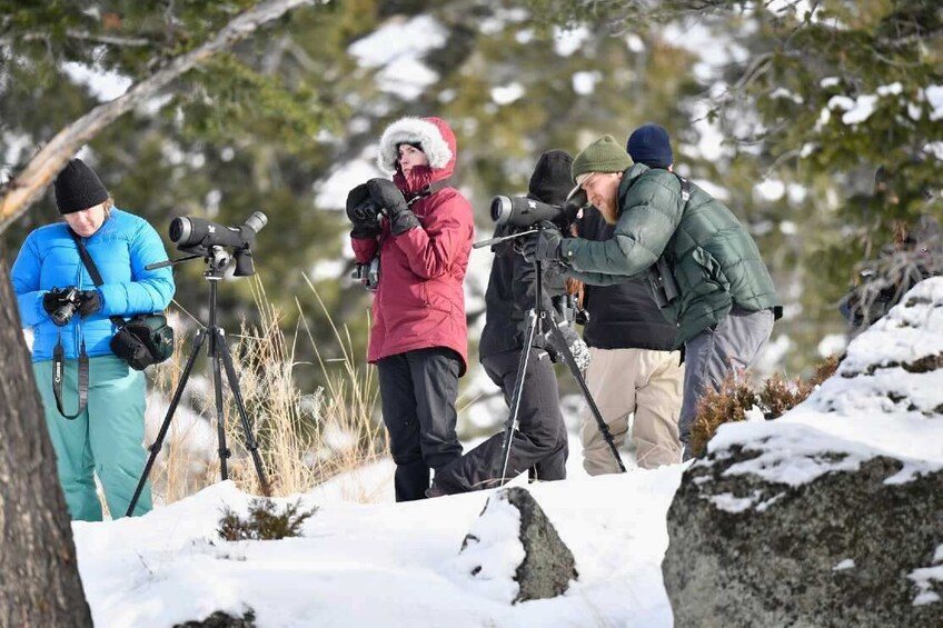 Grand Teton and National Elk Refuge Winter Day Trip