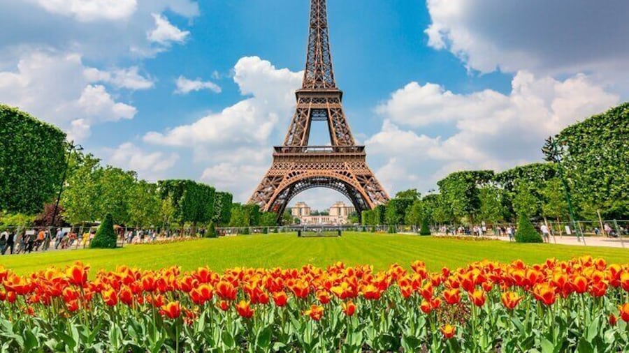 Full Day Private Shore Tour in Paris from Le Havre Cruise Port