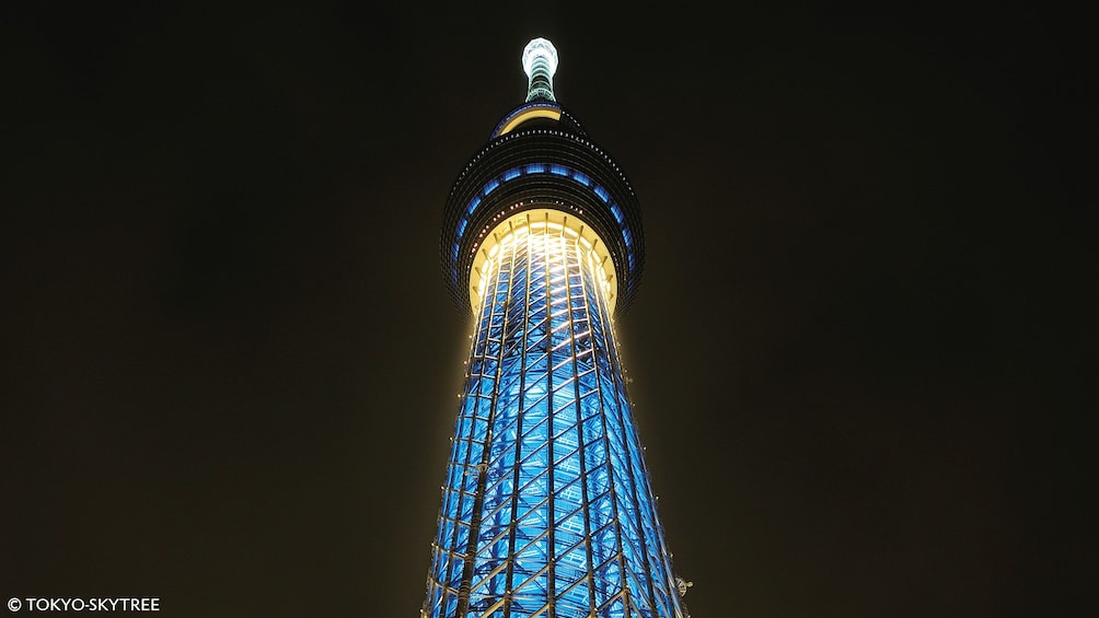 Show item 3 of 5. Skytree at night from the ground in Tokyo