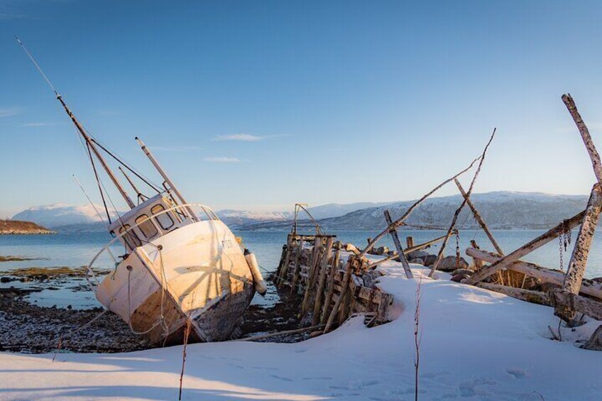 Half Day Arctic Fjord and Wildlife Safari Tour