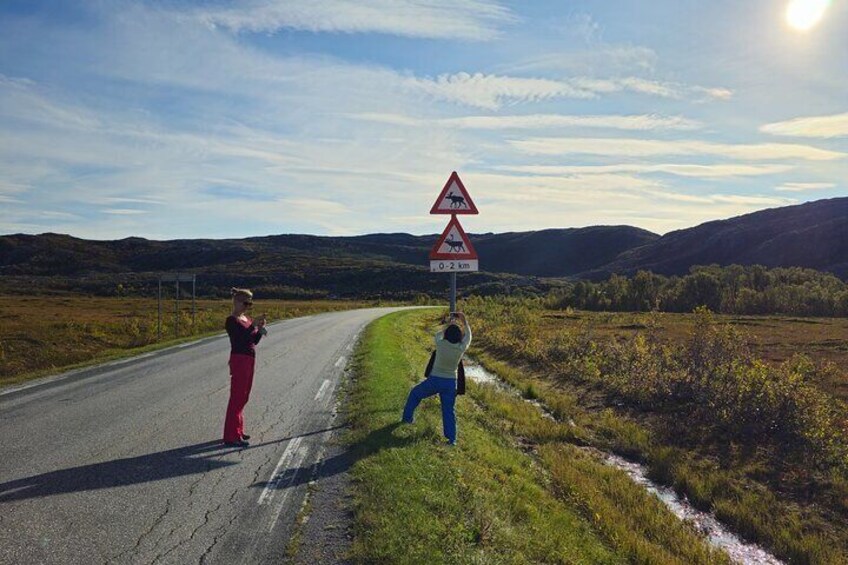 Half Day Arctic Fjord and Wildlife Safari Tour