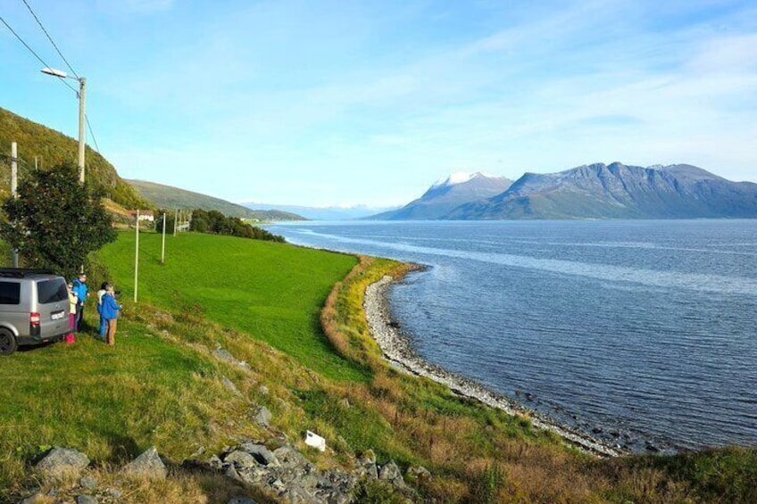 Half Day Arctic Fjord and Wildlife Safari Tour