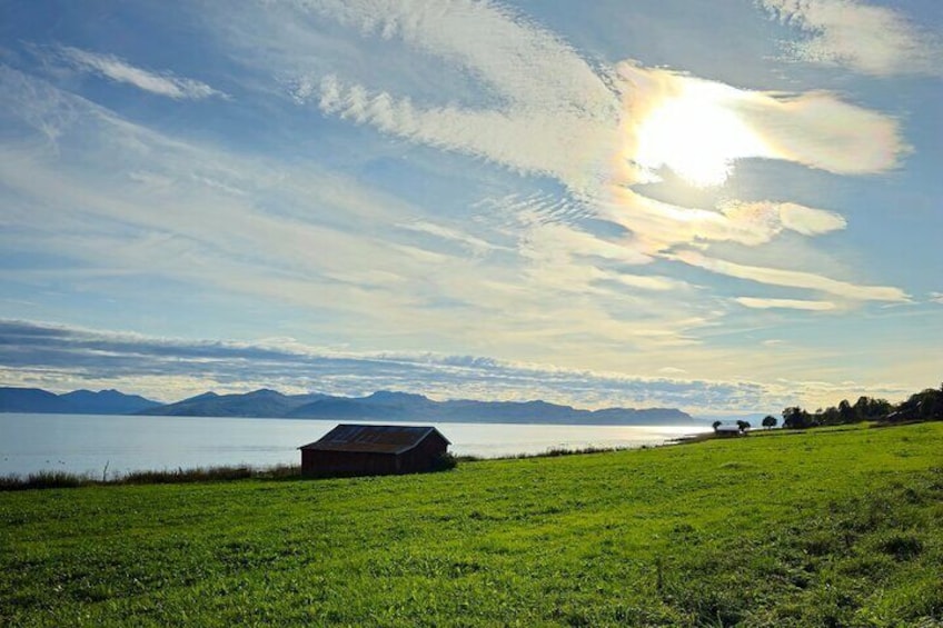 Half Day Arctic Fjord and Wildlife Safari Tour