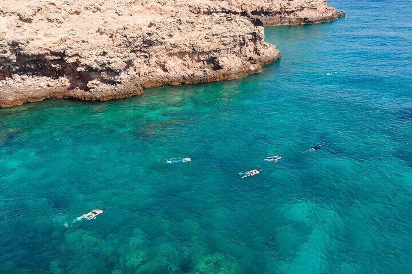 Snorkelers at one of the Reefs