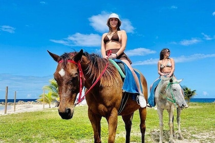Horseback Ride and Swim from Montego Bay
