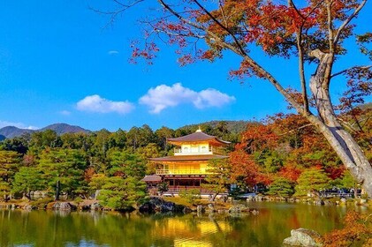 Gita privata di un giorno a Kyoto con autista inglese (guida opzionale)