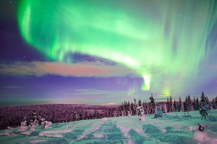 Northern Lights in Rovaniemi