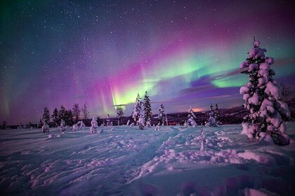 Night Snowshoeing Adventure under the Northern Lights