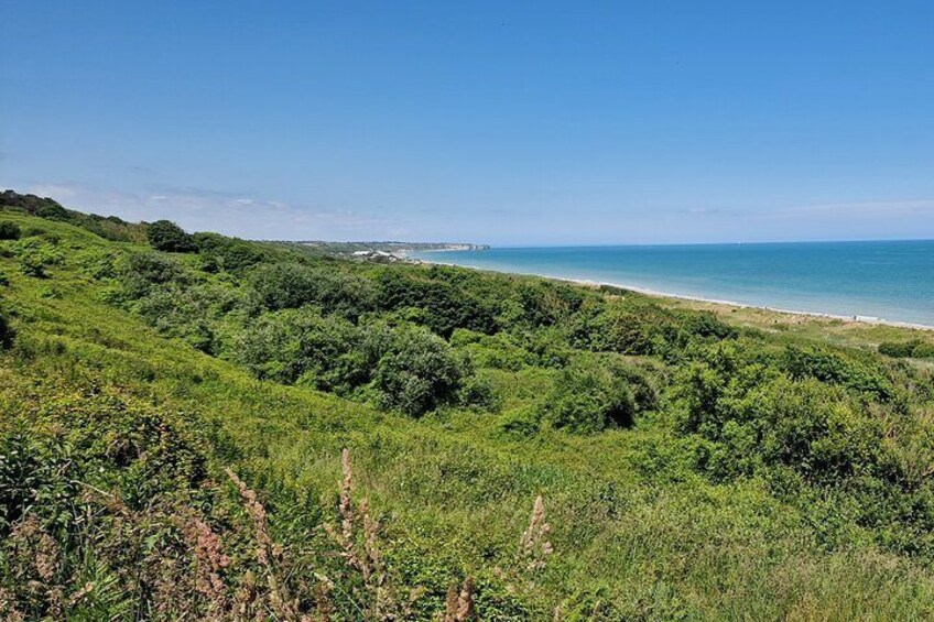 Normandy landing beach: Private tour from Le Havre