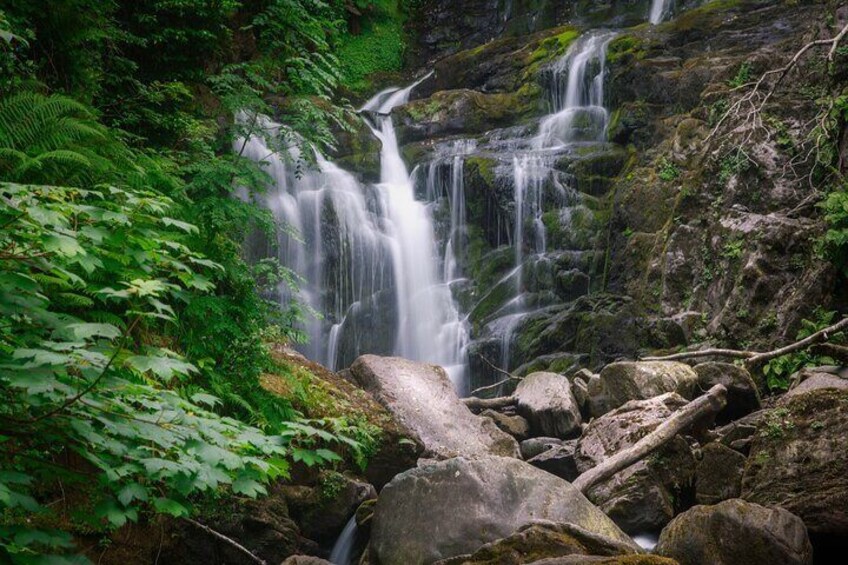 Torc Fall in Killarney National Park.