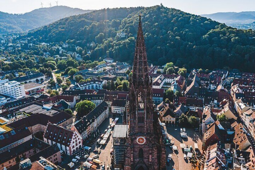 Veni vidi vino - the Freiburg wine hike