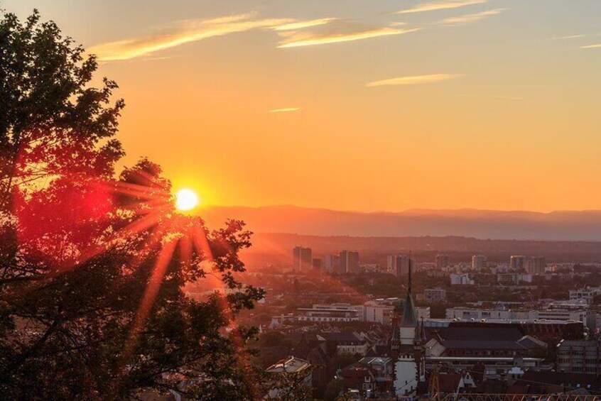 Veni vidi vino - the Freiburg wine hike