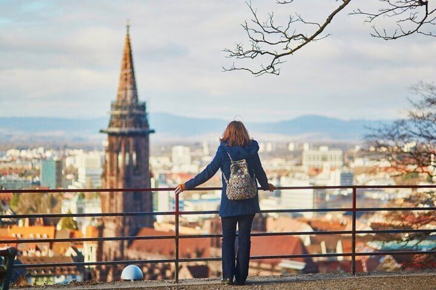 Veni vidi vino - the Freiburg wine hike