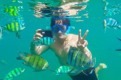 Koh Talu Full Day Shared Experience with Lunch