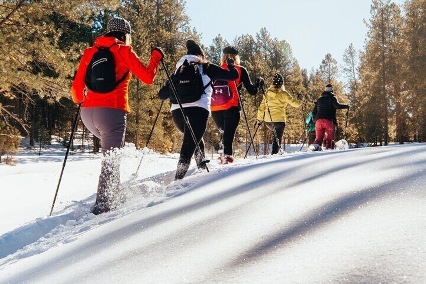 Amole Canyon Snowshoe Tour