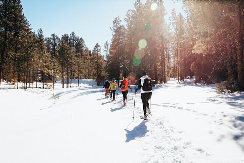 Snowshoeing in Taos Backcountry