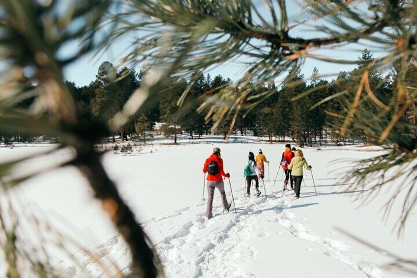 Amole Canyon Snowshoe Tour