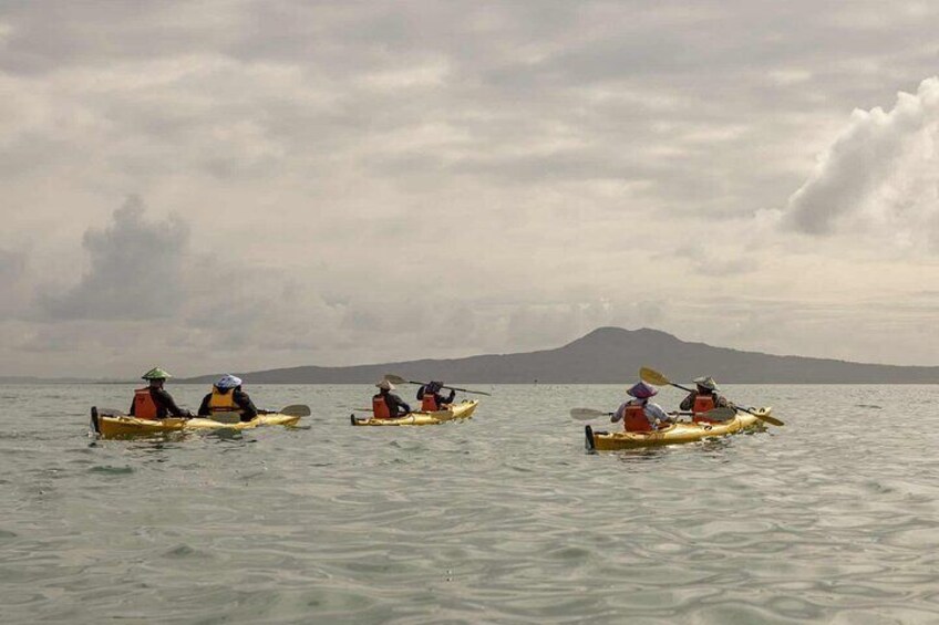 2-Day Waiheke Island Sea Kayak Tour