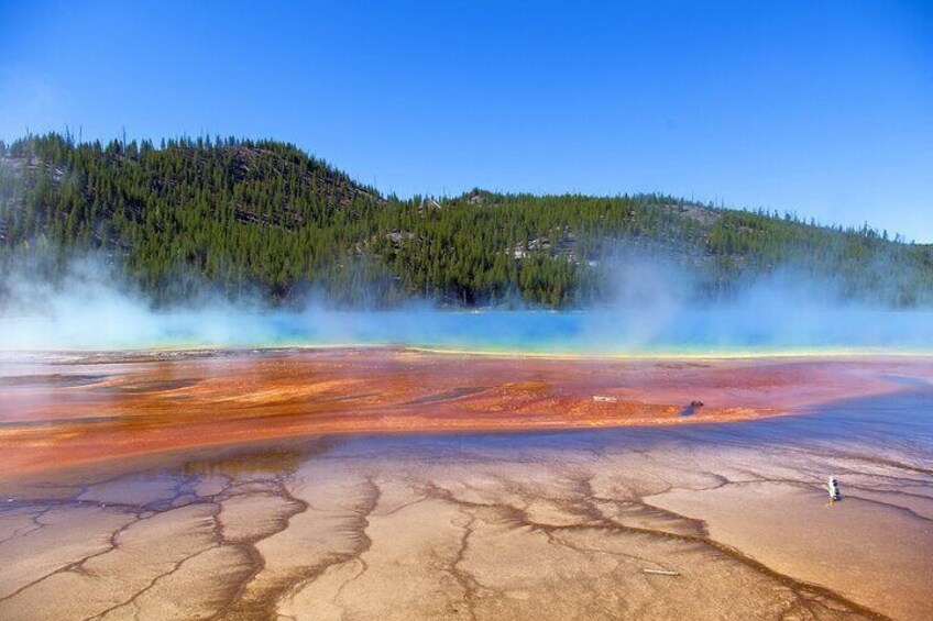 Salt Lake City Departure Yellowstone Park 3-day Panoramic Tour