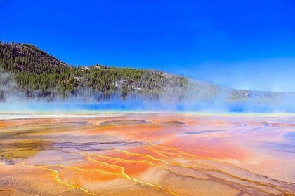 Salt Lake City Departure Yellowstone Park 3-day Panoramic Tour