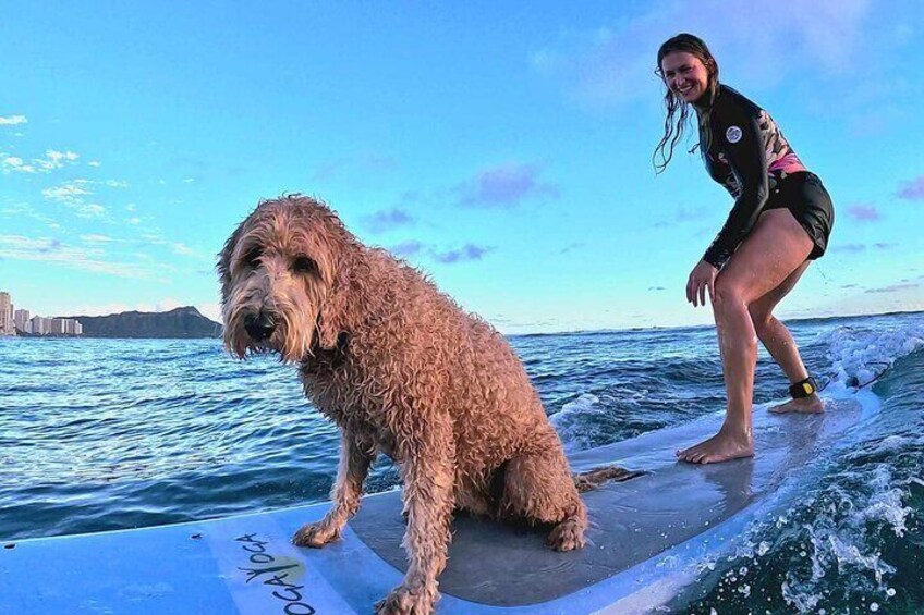 Private 1-on-1 Surfing Lesson with Videos and Photos