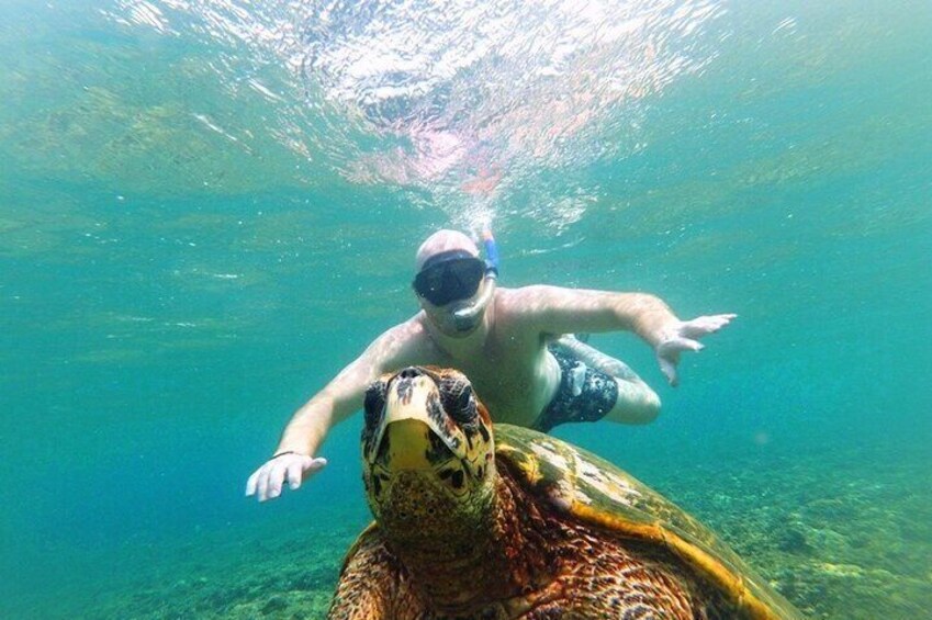 Snorkeling with Turtles on Gili Trawangan