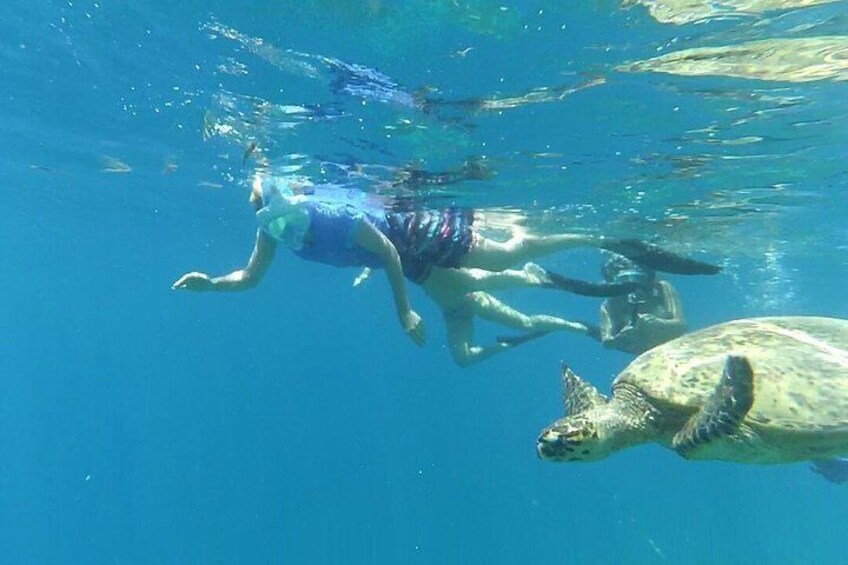Snorkeling with Turtles on Gili Trawangan