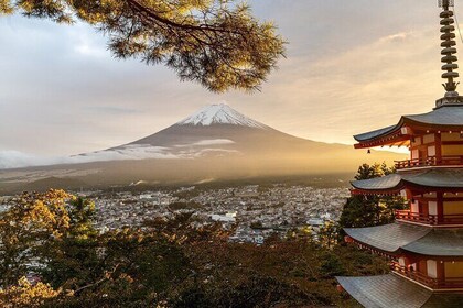 Private Tour in Mt Fuji and Hakone with English speaking driver