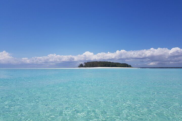 Early dolphin Tour and Snockling at mnemba and Turtle Sanctuary 