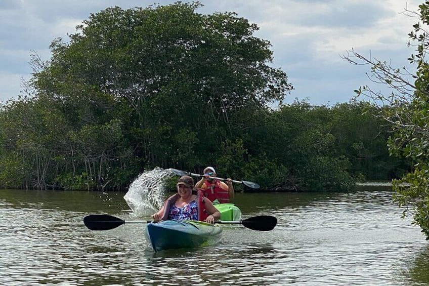 Manatee and Dolphin Ecological Kayak Adventure. 