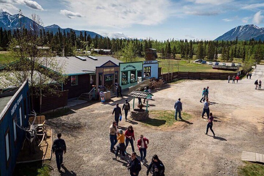 Entry to Wild Adventure Yukon (formerly Caribou Crossing) AND lunch!