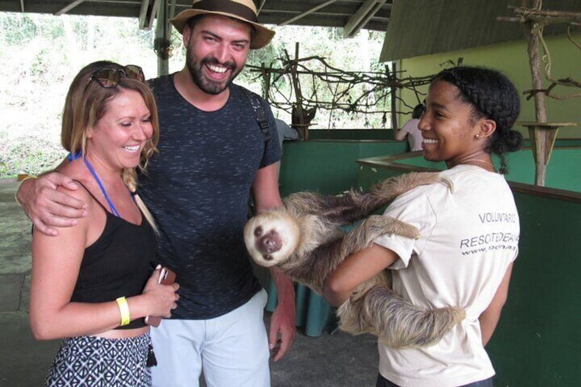 Aerial Tram & Sloth Sanctuary in the Rainforest