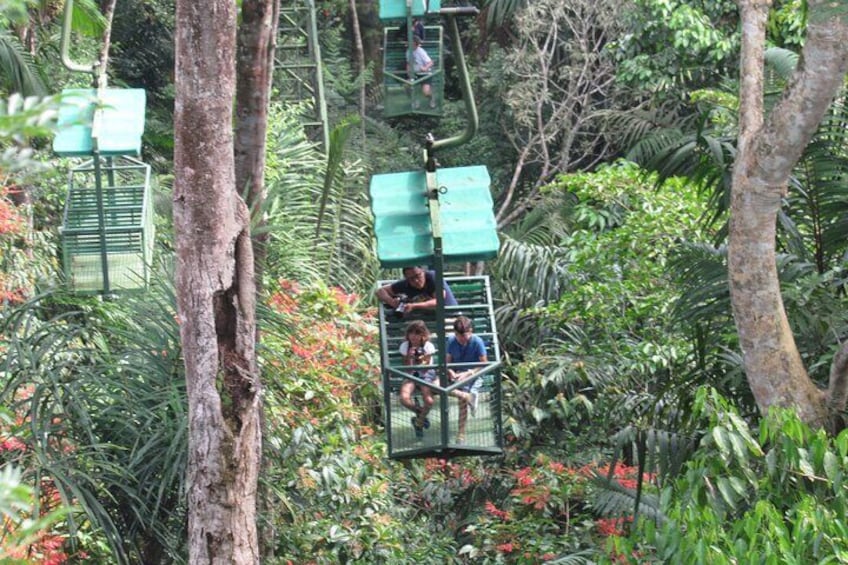 Aerial Tram & Sloth Sanctuary in the Rainforest