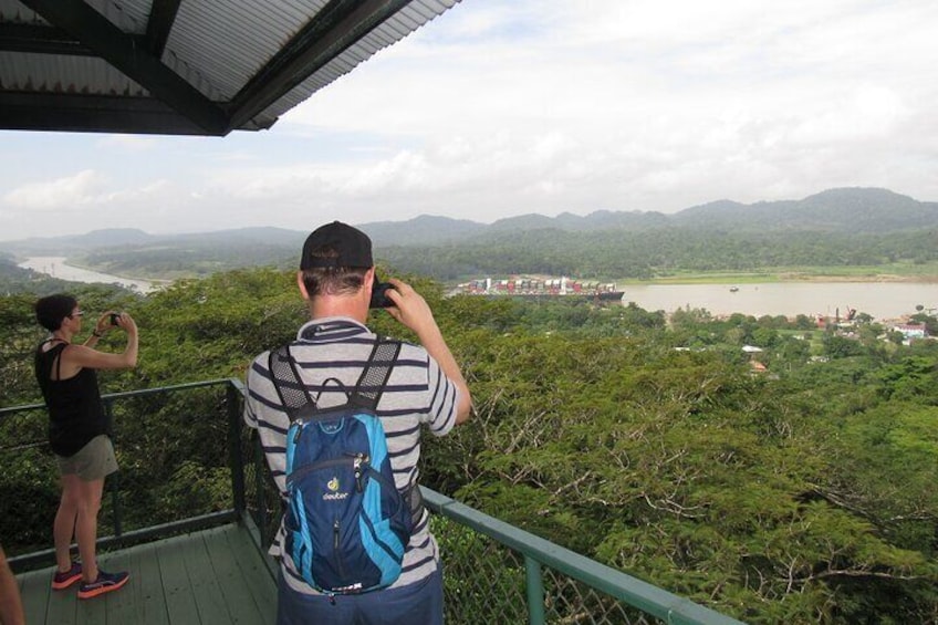 Aerial Tram & Sloth Sanctuary in the Rainforest