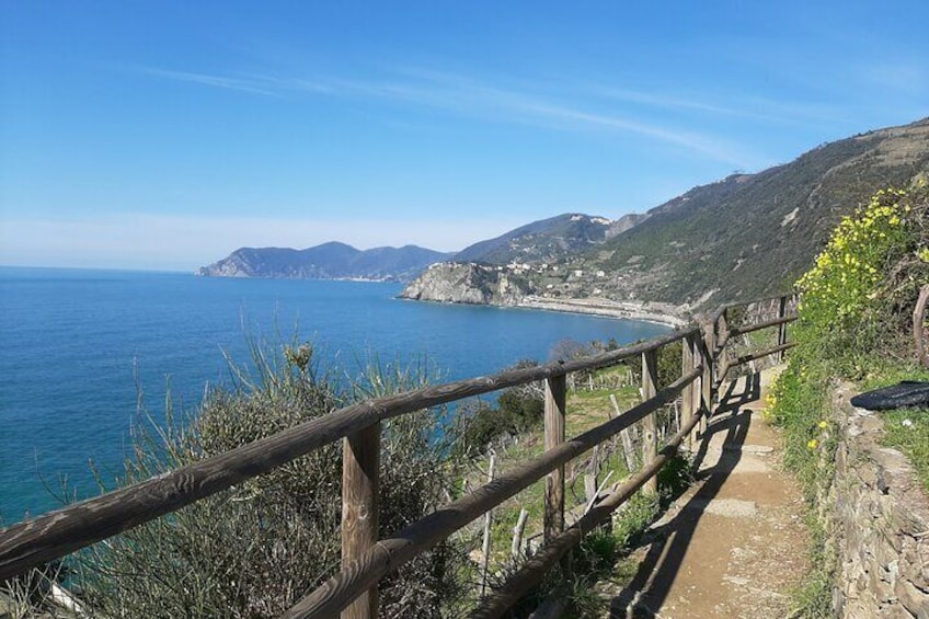 Uniquely classic Cinque Terre