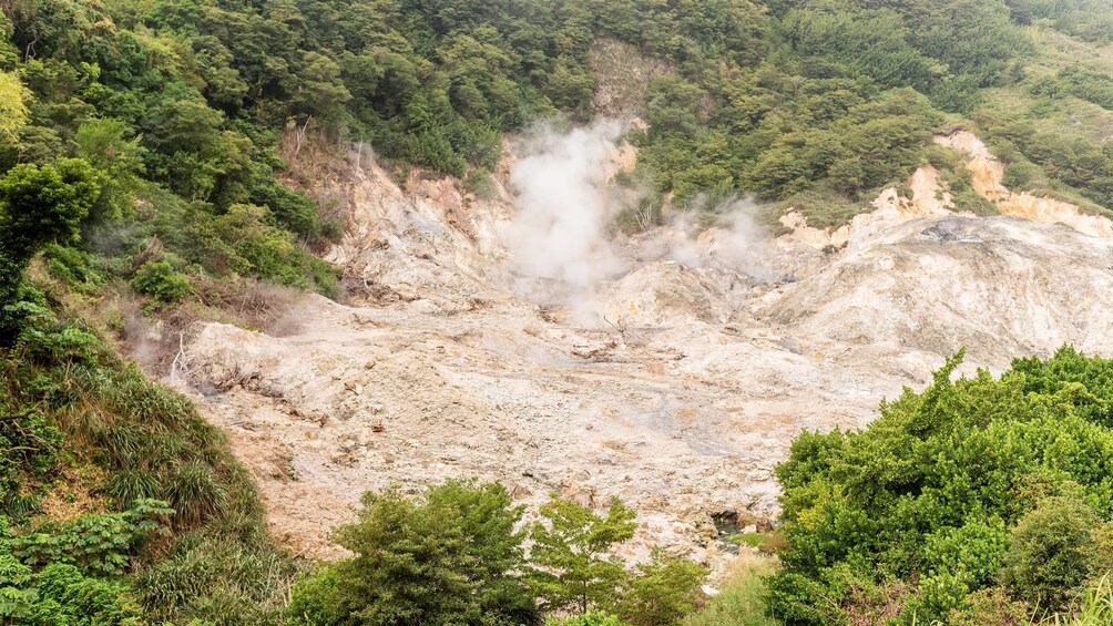 Group tour of the Volcano & The Mud Baths tour in St. Lucia