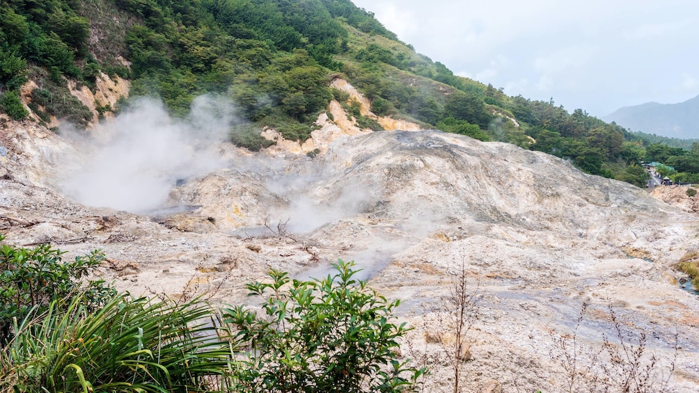 Volcano & The Mud Baths tour in St. Lucia