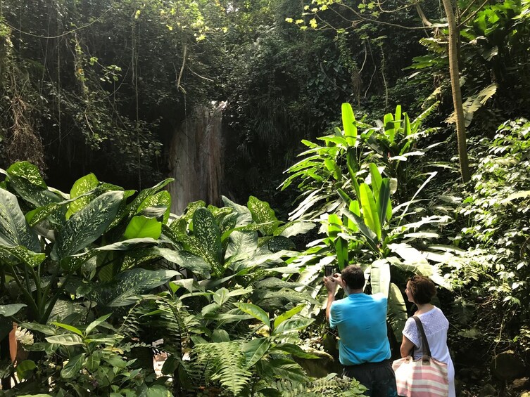 Tet Paul Hike & Soufriere Highlights