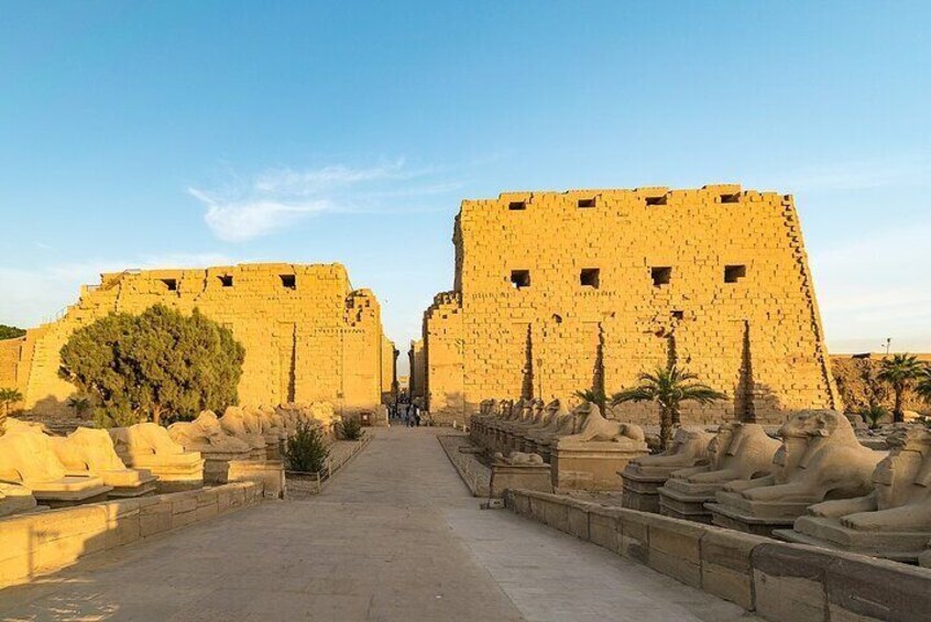 Full-Day Luxor Private Tour from Cairo by Plane with Lunch