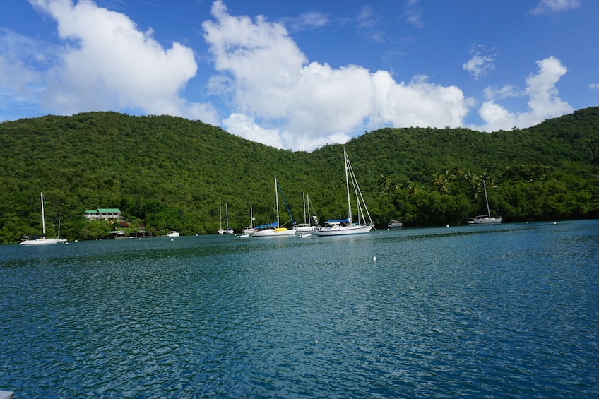 Natural & Cultural Splendors Half-Day Tour of the Southwest Coast
