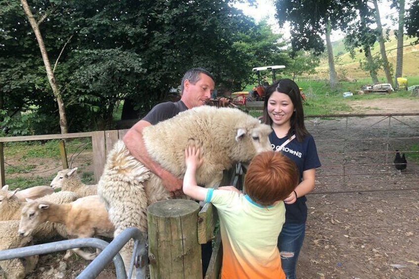 Wool Sheep Farm Experience with Handmade Wool Hat in New Zealand 