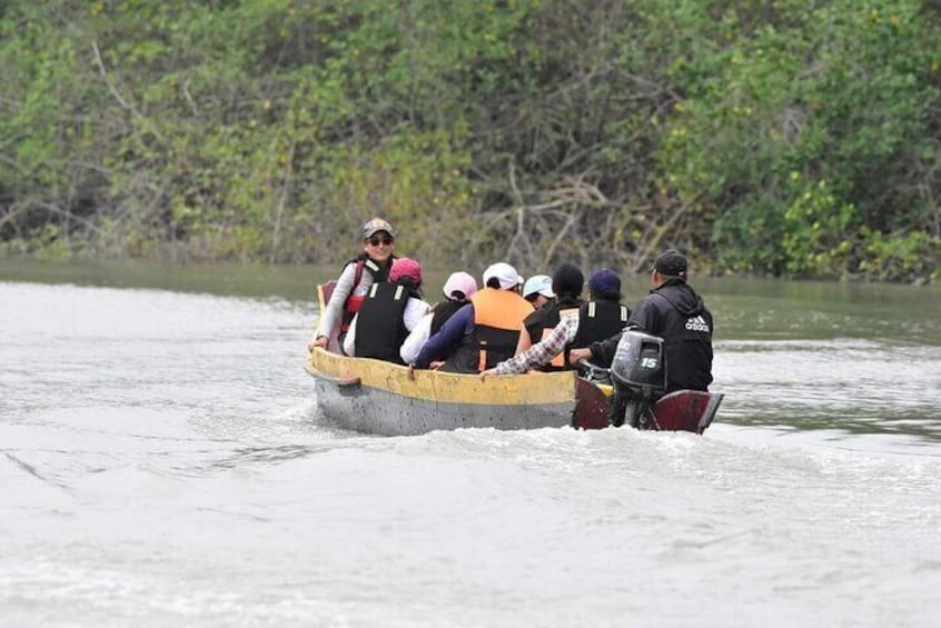 Full Day Private Churute Mangroves Reserve and Cocoa Farm Tour