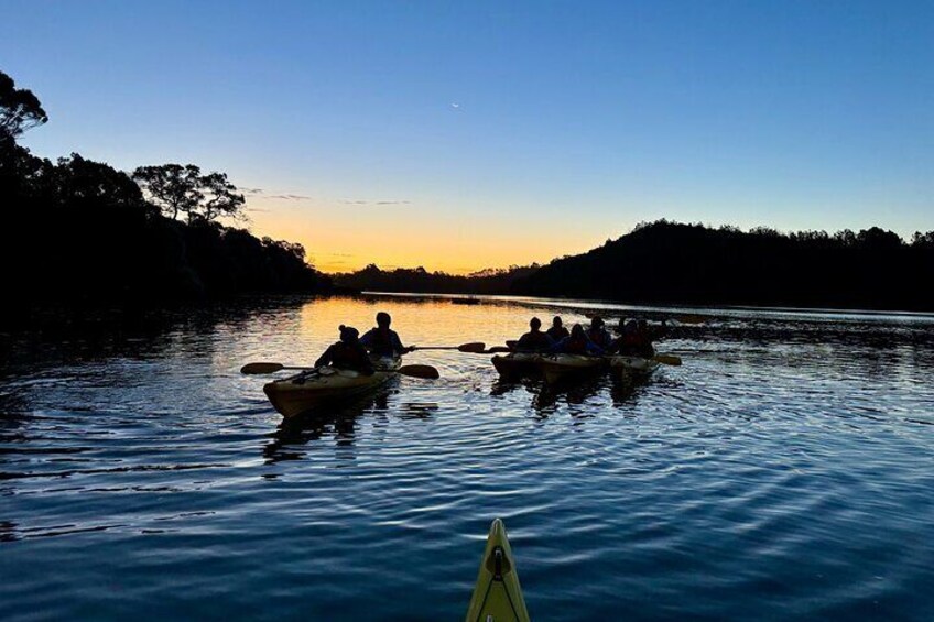 Auckland Bioluminescence Kayak Tour